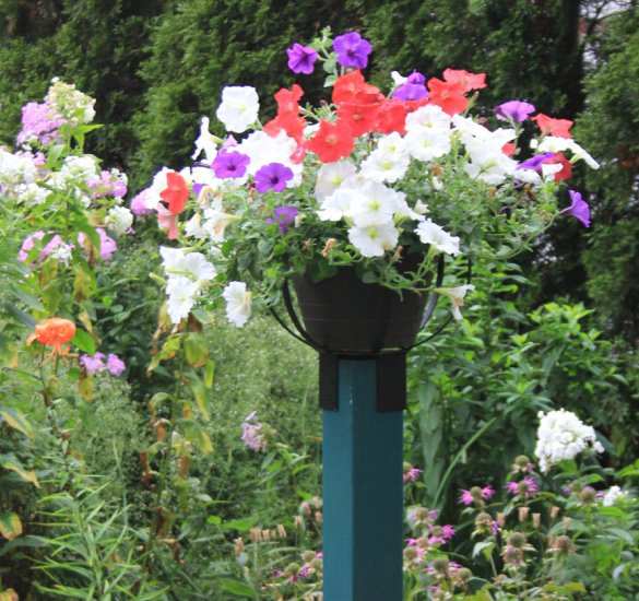 Large Flower Pot Holder Crossword Best Flower Site